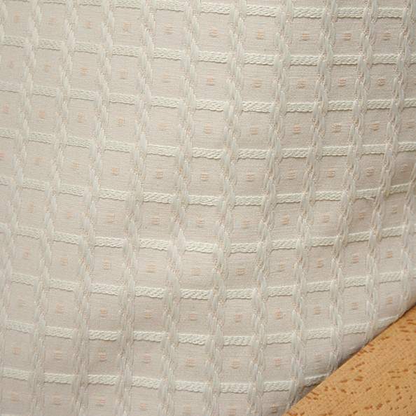 Champagne Fabric