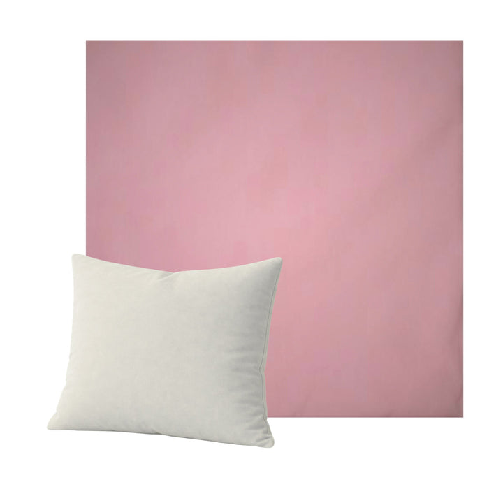 Blush Pink Canvas Throw Pillow